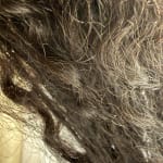 User submitted media 1 of 3