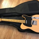Road runner rr2eg boulevard series electric store guitar gig bag