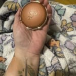 User submitted media