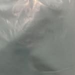 User submitted media 2 of 2