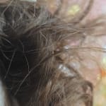 User submitted media 1 of 2