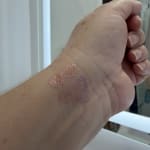 User submitted media 2 of 3