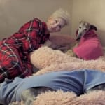 User submitted media