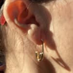 User submitted media 1 of 2