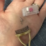 User submitted media 2 of 2