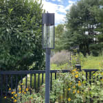 User submitted media