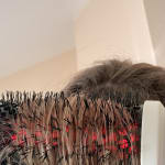 User submitted media 1 of 5