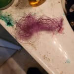 User submitted media