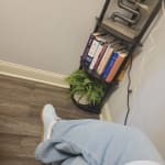 User submitted media