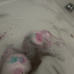 User submitted media 1 of 3