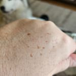 User submitted media