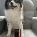 User submitted media 2 of 2