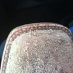Ariat 10023128 on sale