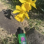 User submitted media