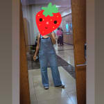 User submitted media