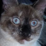 User submitted media 2 of 2