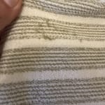 User submitted media