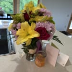 Fields of Europe® for Spring