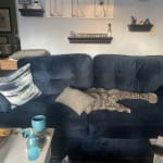 User submitted media