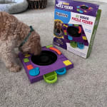 DJ Turntable Puzzle Feeder – Fit for a Pit