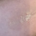 User submitted media 1 of 2