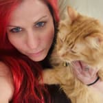 User submitted media