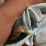 User submitted media 1 of 3