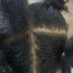 User submitted media