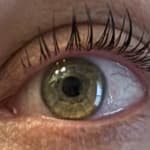 User submitted media 1 of 2