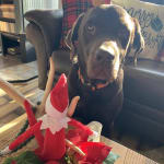 User submitted media 1 of 2