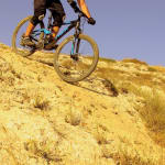 Fuel EX 7 29 Trek Bikes