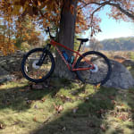 rockhopper elite 29 for sale