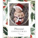 Holiday Holly Frame 5x7 Stationery Card By Stacy Claire Boyd Shutterfly