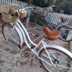 Electra Plastic Woven Basket Ashland Medford Cycle Sport
