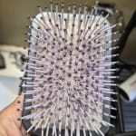 User submitted media