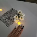 User submitted media