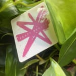 User submitted media 2 of 2