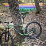 Giant stance olive green online