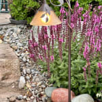 User submitted media 2 of 2