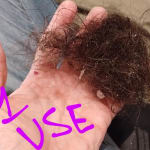 User submitted media