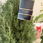 User submitted media 1 of 2