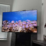 User submitted media 2 of 2