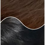 User submitted media 1 of 4