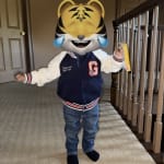 User submitted media