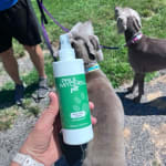 User submitted media 4 of 4