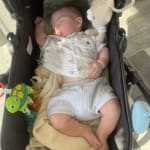 User submitted media