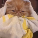 User submitted media 1 of 2