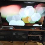 User submitted media