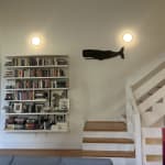 User submitted media
