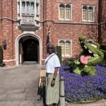 User submitted media